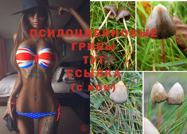 эйфоретик Армянск