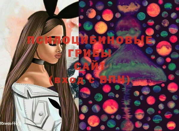 эйфоретик Армянск
