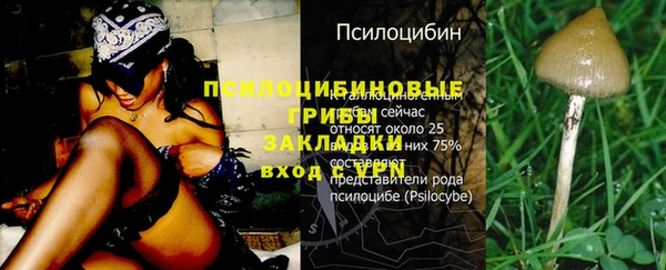 эйфоретик Армянск
