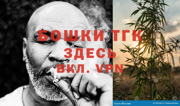 твердый Аркадак