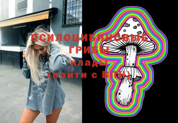 твердый Аркадак